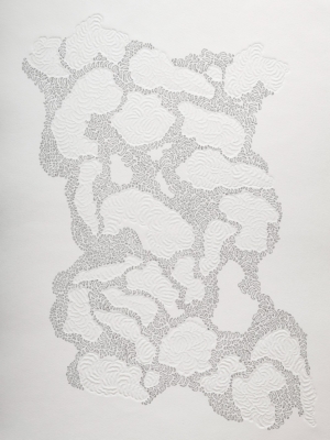 Marisol Regidor, Serie Semilla III-Anclaje