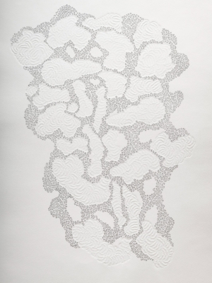 Marisol Regidor, Serie Semilla III-Anclaje