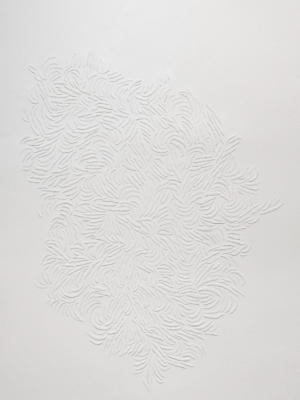 Marisol Regidor, Serie Semilla II-Rastro vivo