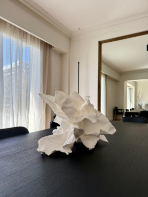 Paper Sculpture N2
