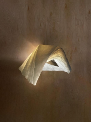 Serie Beyond the Currents, Obra Beyond Wall light I